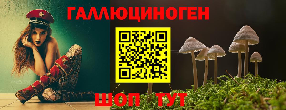 Псилоцибиновые грибы прущие грибы  Псилоцибиновые грибы Magic Shrooms  Сунжа  Вход с VPN 